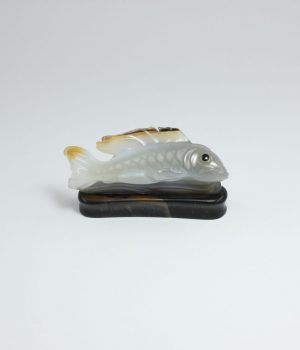 Golden Fin Koi