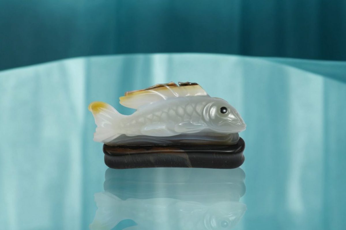 Koi quadr