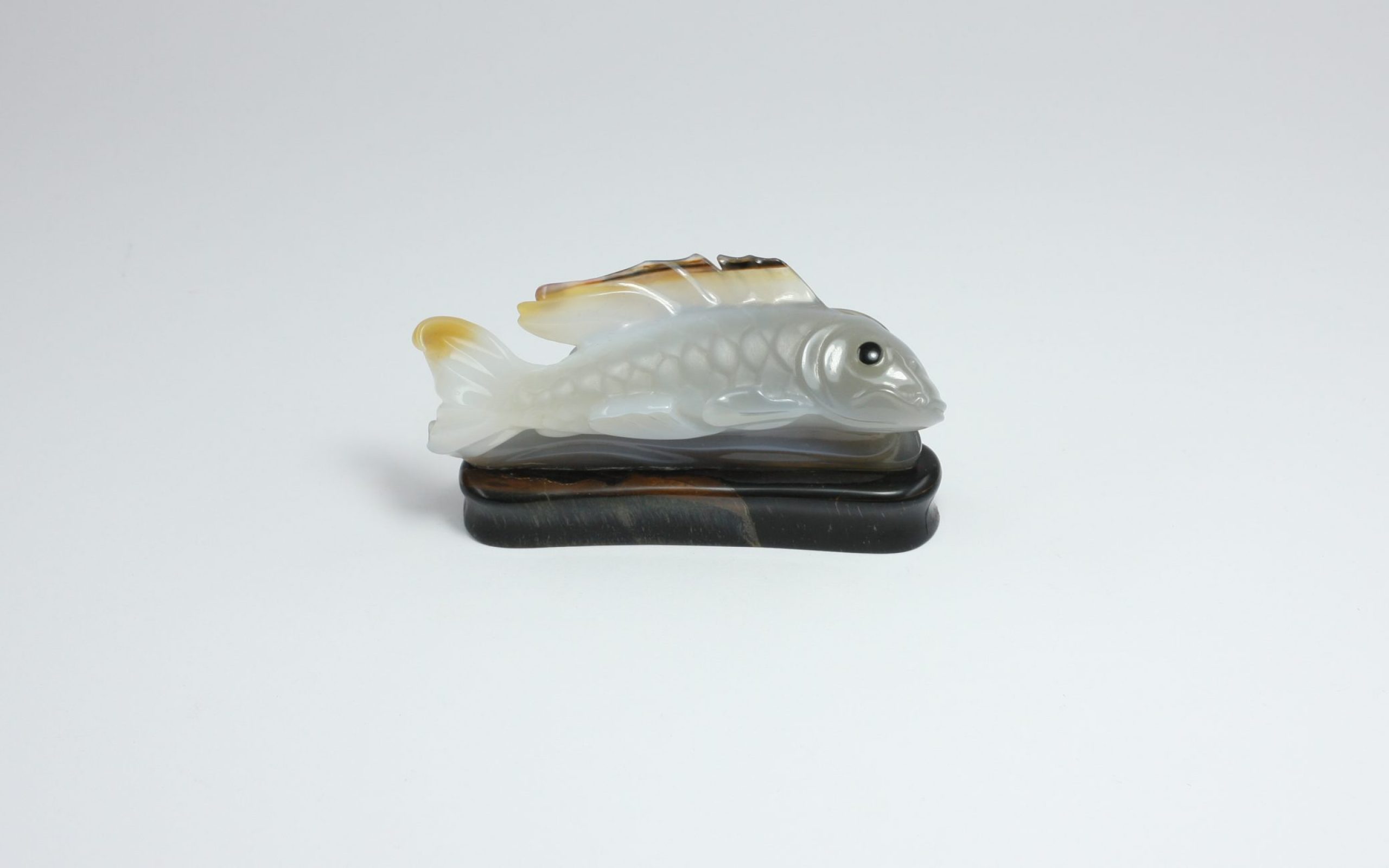 Koi (2)