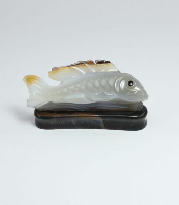 Koi (2)