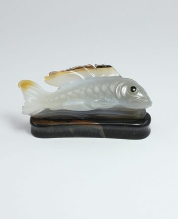 Koi (2)