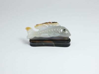 Koi (2)